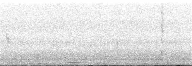 Yakut Boğazlı Kolibri - ML99723921