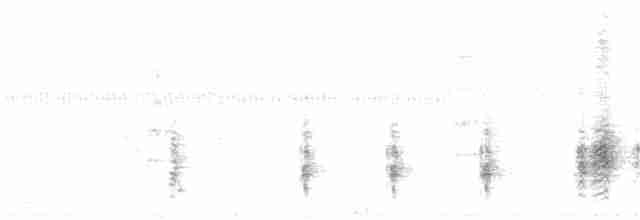 Clamorous Reed Warbler - ML99740831