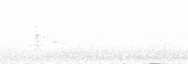 Black-throated Gray Warbler - ML99972701