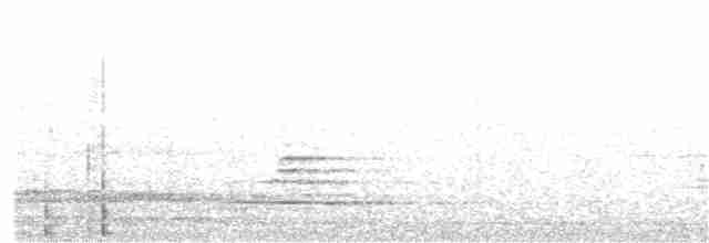 Дрізд-короткодзьоб строкатогрудий - ML99973911