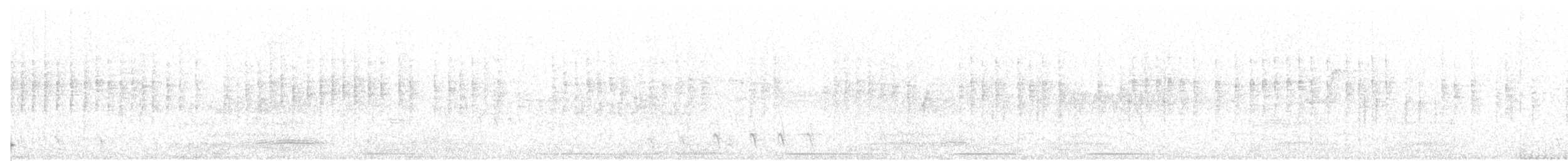Wrentit - ML100008771