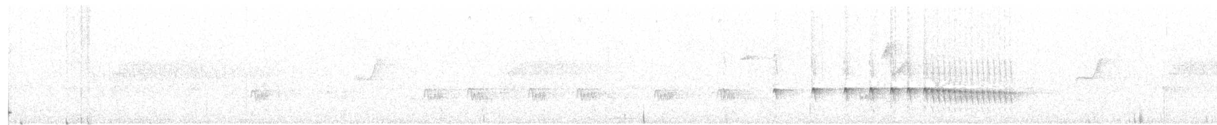 Wrentit - ML100008951