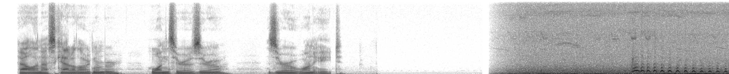 Rostkappen-Seidenkuckuck (olivaceiceps) - ML100018