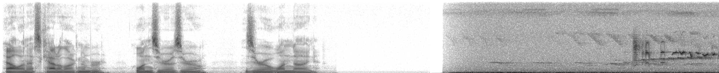 Rotbrust-Paradiesschnäpper - ML100019