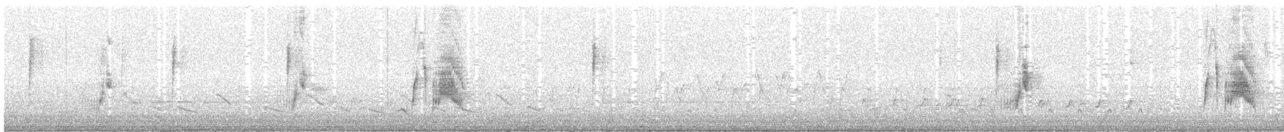 メジロハエトリ - ML100022681