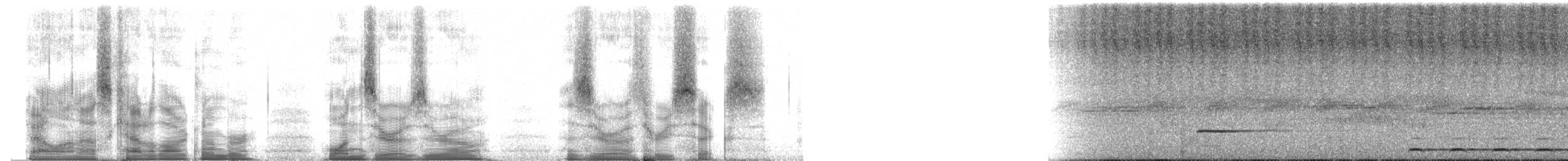 madagaskarugle (rutilus) - ML100036