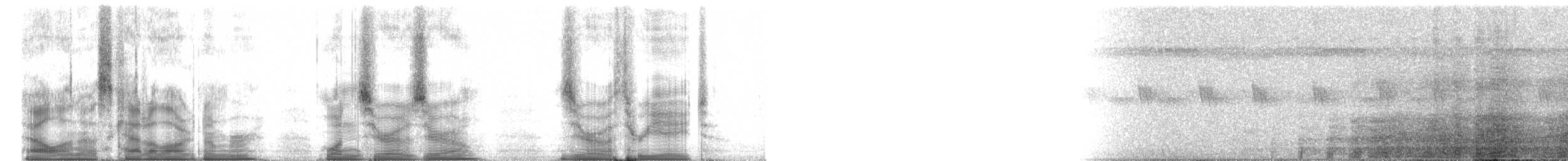 Verreaux's Sifaka - ML100038
