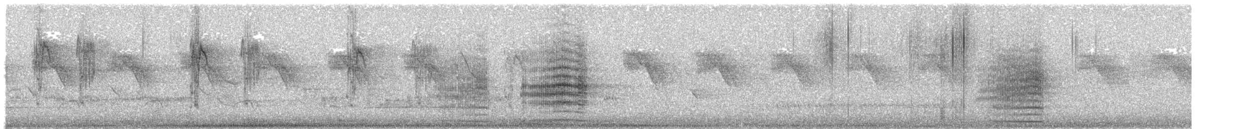 Glossy Black-Cockatoo - ML100106701