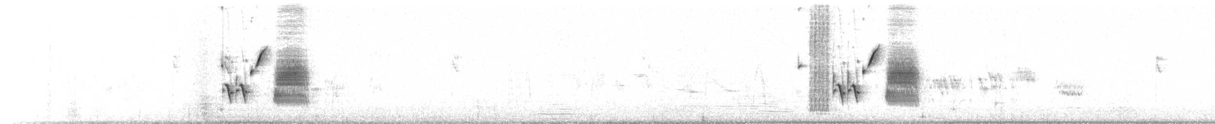 Schwarzkehlammer - ML100133341