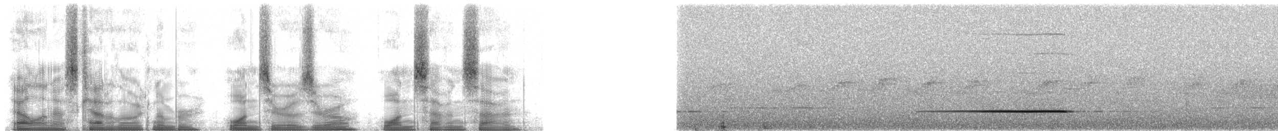 Ванга гачкодзьоба (підвид curvirostris) - ML100177