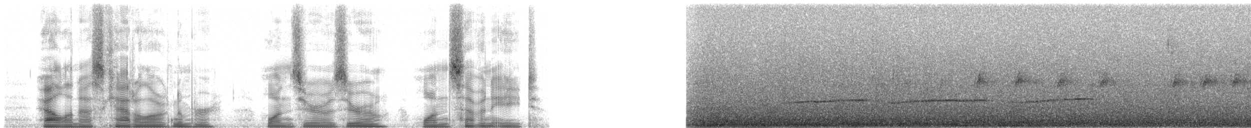 Forest Rock-Thrush (Forest) - ML100178