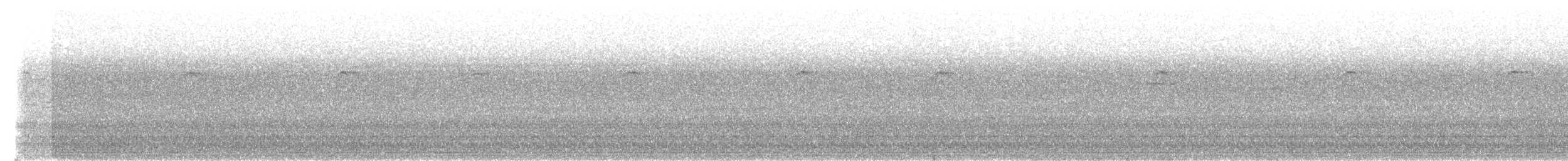 blåplystretrost (caeruleus) - ML100282531