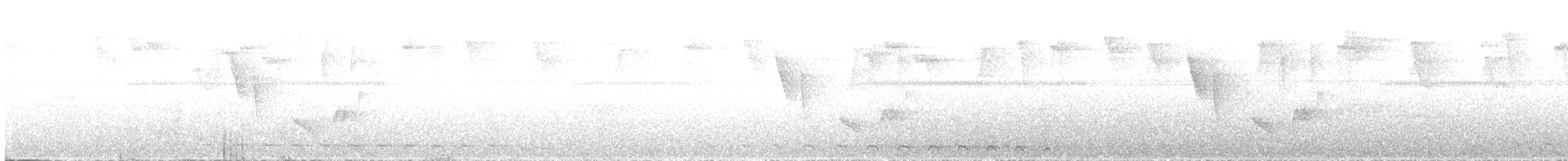 Slaty-tailed Trogon - ML100309171