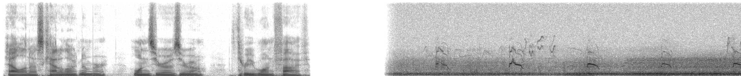 Hemprich's Hornbill - ML100315