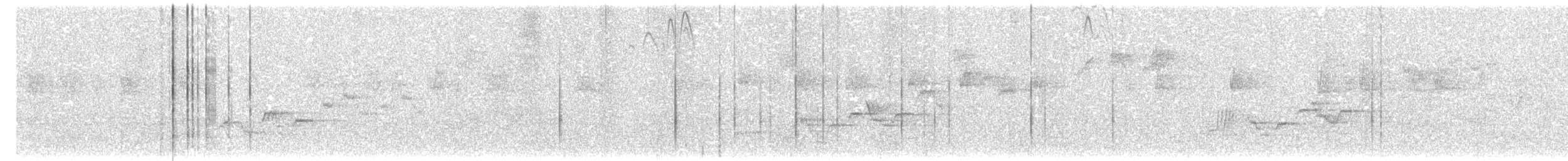 Swainson's Thrush - ML100326791
