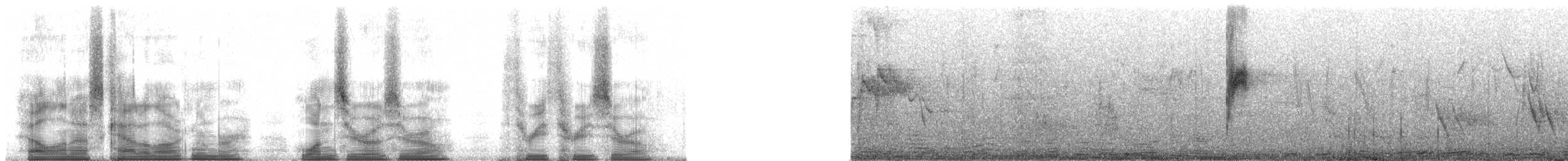 Смолярик еритрейський - ML100330
