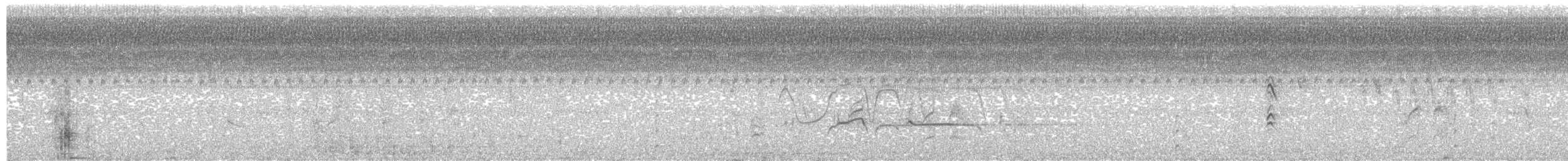 Dendrocygne à ventre noir - ML100415661