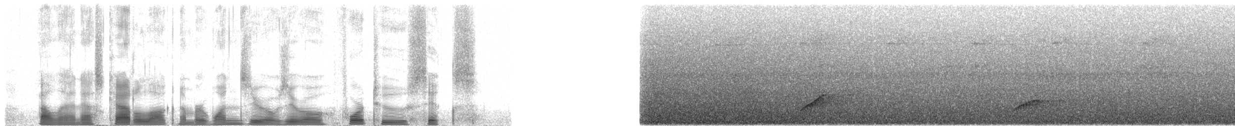 Forest Honeyeater - ML100426