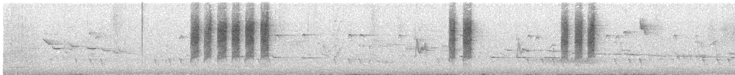 White-browed Scrubwren - ML100433761