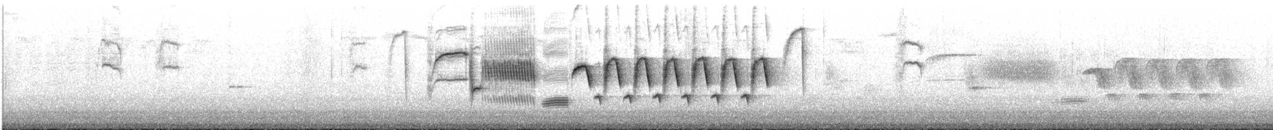 Buschzaunkönig - ML100461761