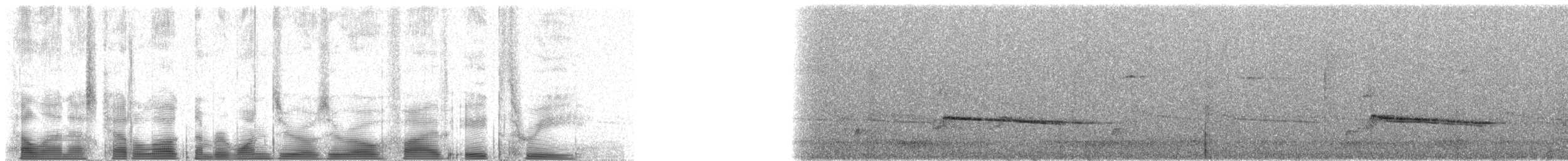 Gray-streaked Honeyeater - ML100583