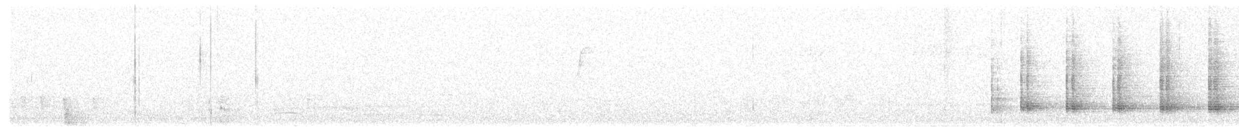 Austral-Schlangenhalsvogel - ML100609921