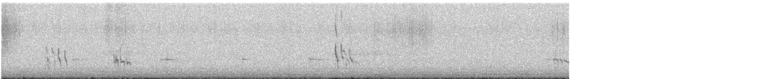 Short-billed Dowitcher - ML100679751