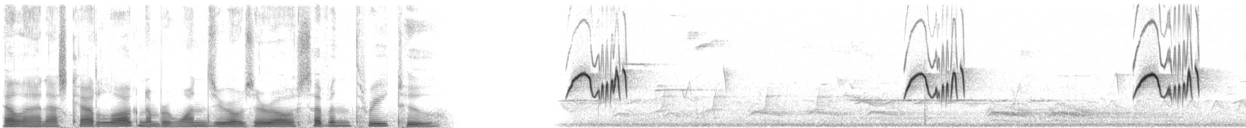 Moucherolle phébi - ML100732