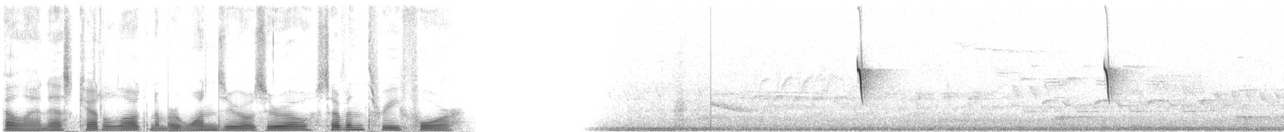Светлобрюхий фиби - ML100734