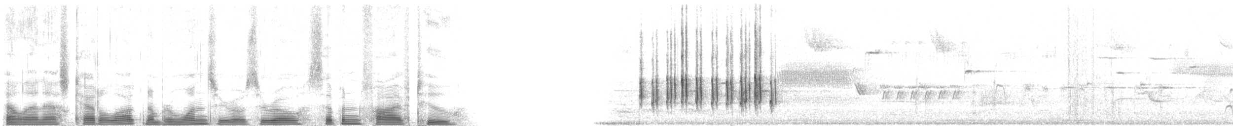 Gartenspottdrossel - ML100752