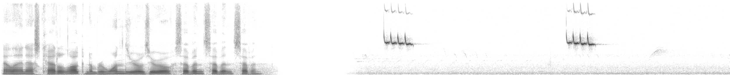 Sargento Alirrojo (grupo phoeniceus) - ML100777