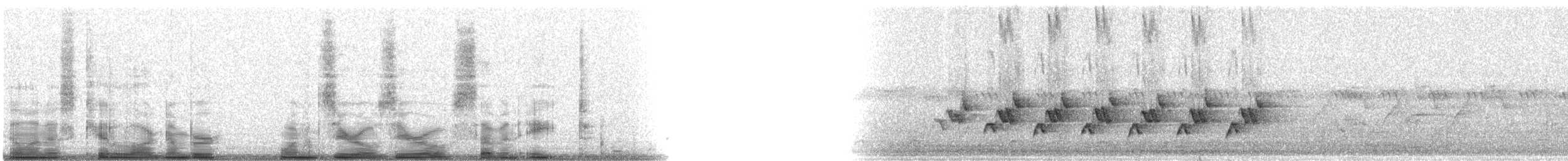 Kentucky Warbler - ML10078