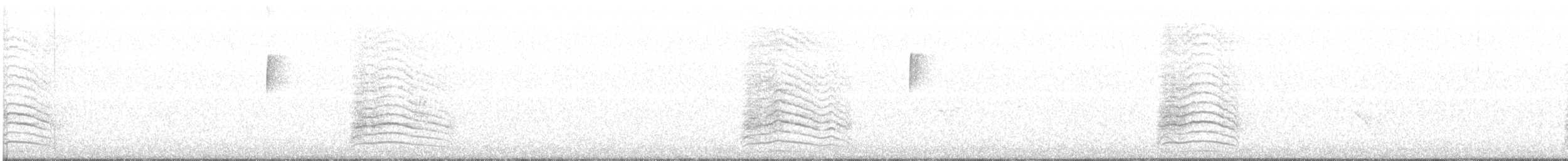 Miaulari grisa - ML100824931