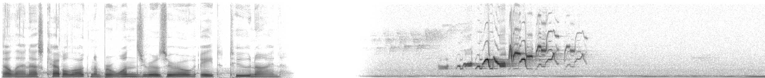 Дрізд-короткодзьоб Cвенсона - ML100829