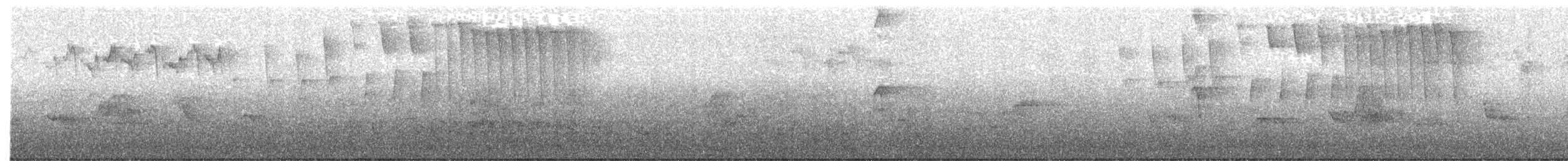 Tennessee Warbler - ML100860181