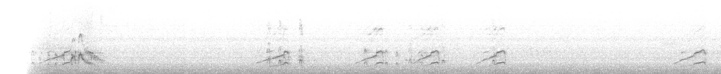 Chiloe Wigeon - ML100886971