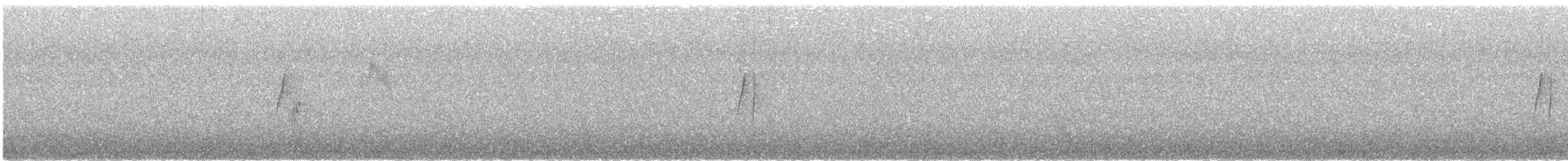 Hammond's Flycatcher - ML100897251