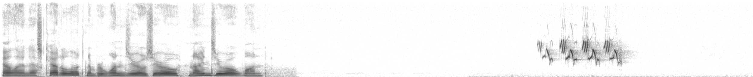 Черногорлая хвойница - ML100901