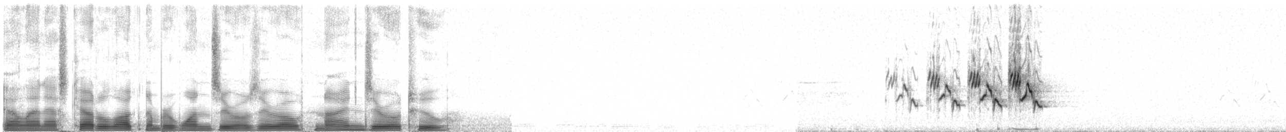 Черногорлая хвойница - ML100902