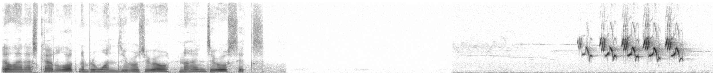 Mourning Warbler - ML100906