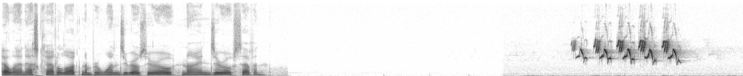 Mourning Warbler - ML100907