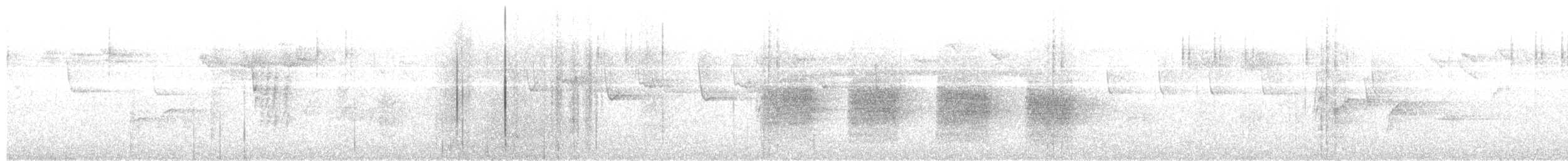 brhlík kabylský - ML100919271