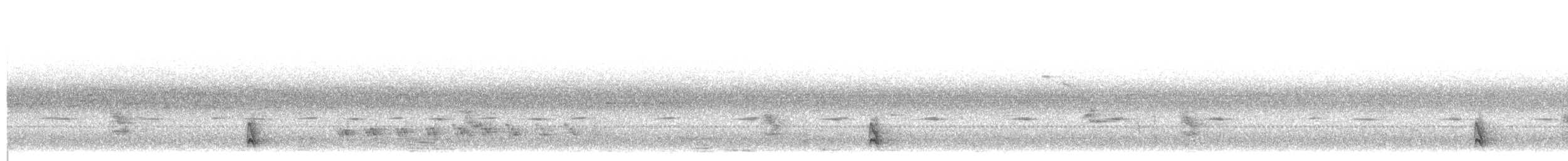 Schwarzschnabeldrossel - ML100934191