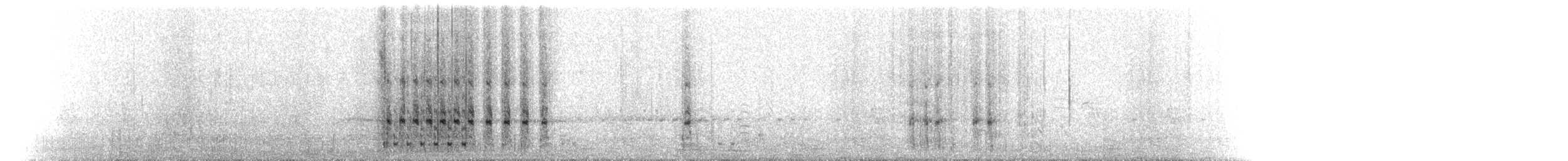 holub chocholatý - ML100939391