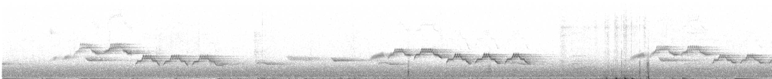 Veery - ML100942371