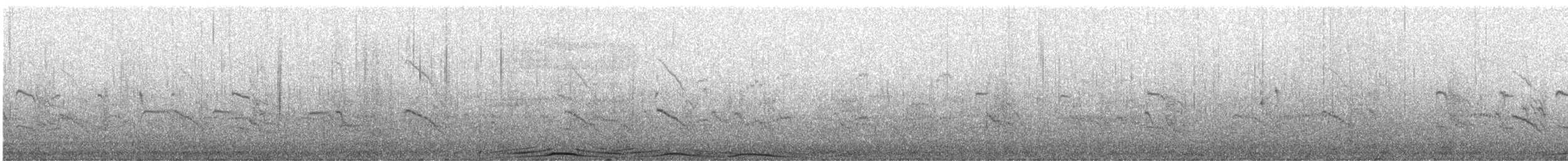 Common Eider - ML100944221