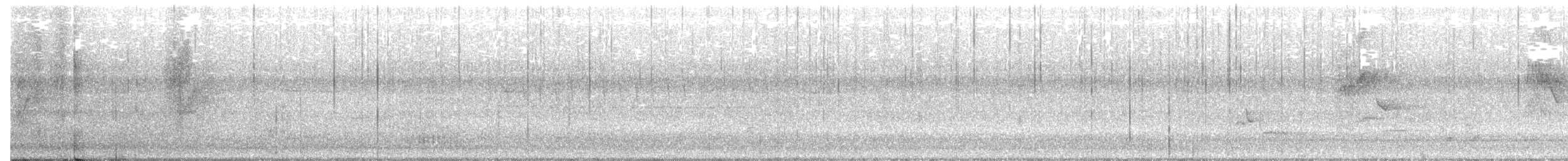 American Crow - ML101024671