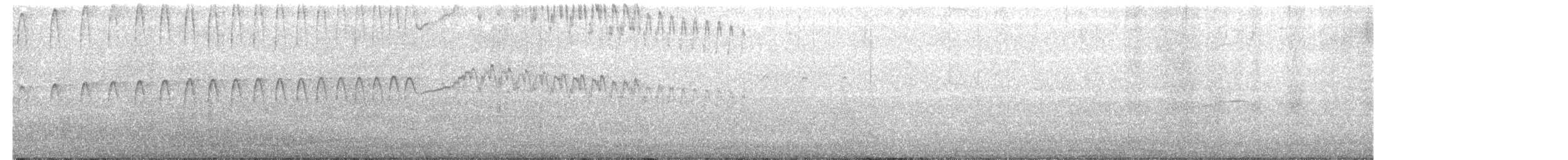 alkoun holubí - ML101053251