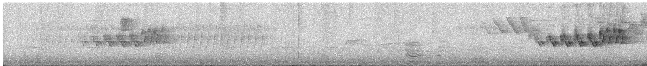 Cerulean Warbler - ML101058591
