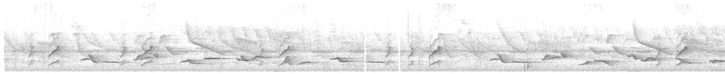 Schwarzschnabeldrossel - ML101102461
